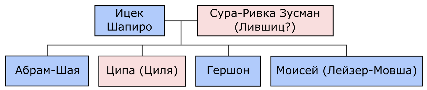 Дети Ицки Шапиро и Суры-Ривки Зусман